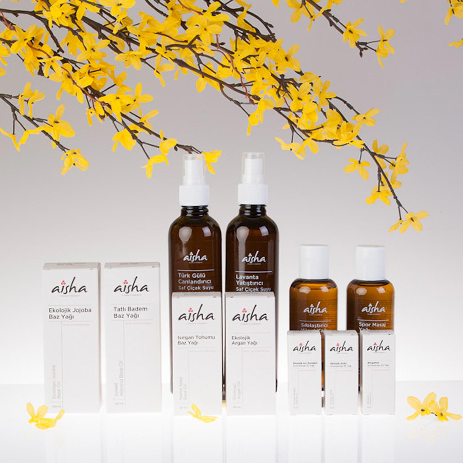 Miscellaneous Aisha aromatherapy Packaging 02